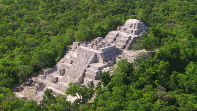 Calakmul Esplendor de una antigua ciudad maya en la selva de Campeche