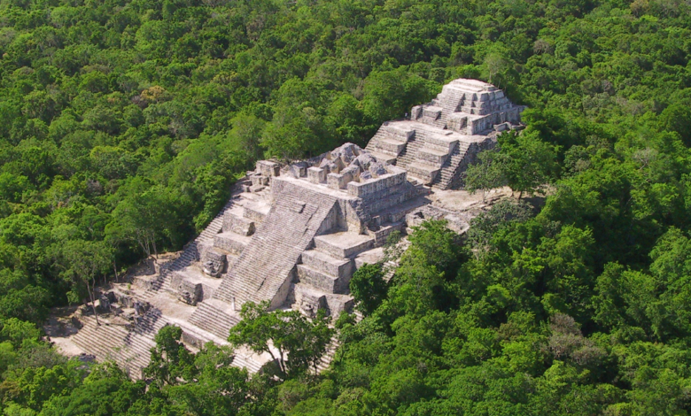 Calakmul Esplendor de una antigua ciudad maya en la selva de Campeche