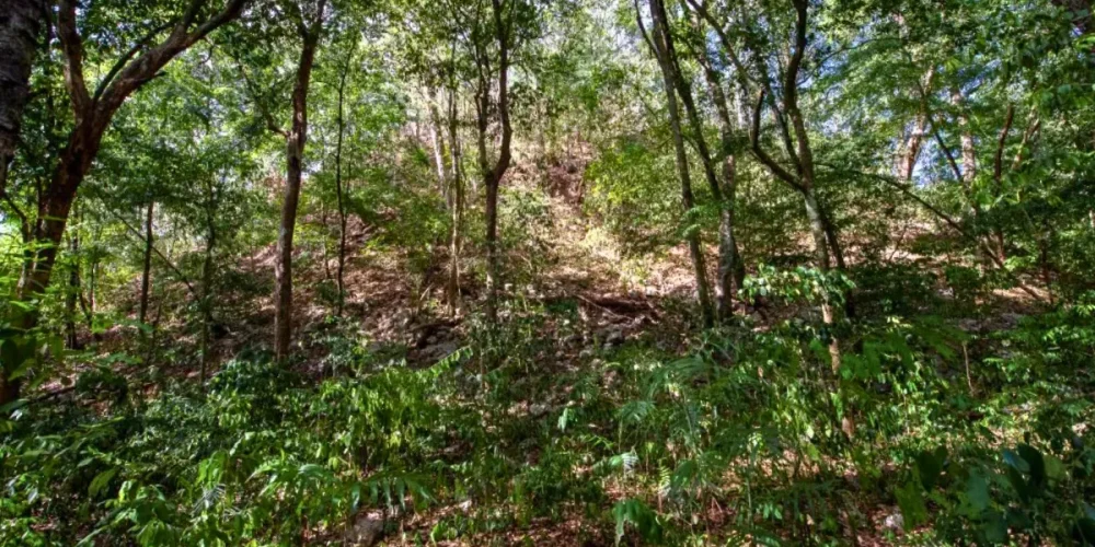 el yesal la enorme ciudad maya oculta en campeche