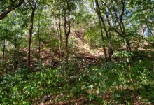 el yesal la enorme ciudad maya oculta en campeche