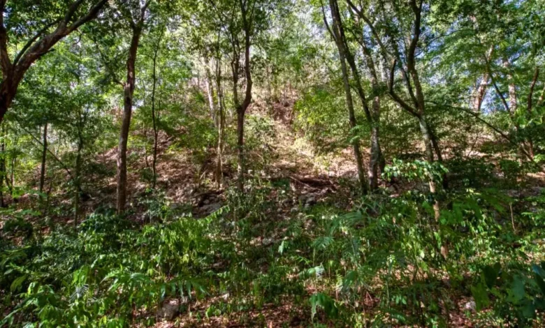 el yesal la enorme ciudad maya oculta en campeche