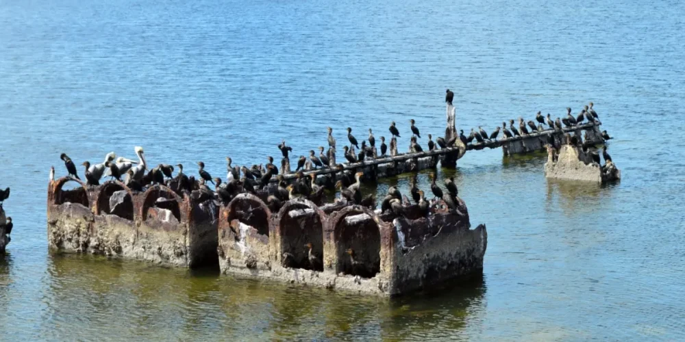 el buque lola un tesoro histórico hundido en el mar de campeche