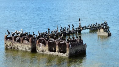el buque lola un tesoro histórico hundido en el mar de campeche