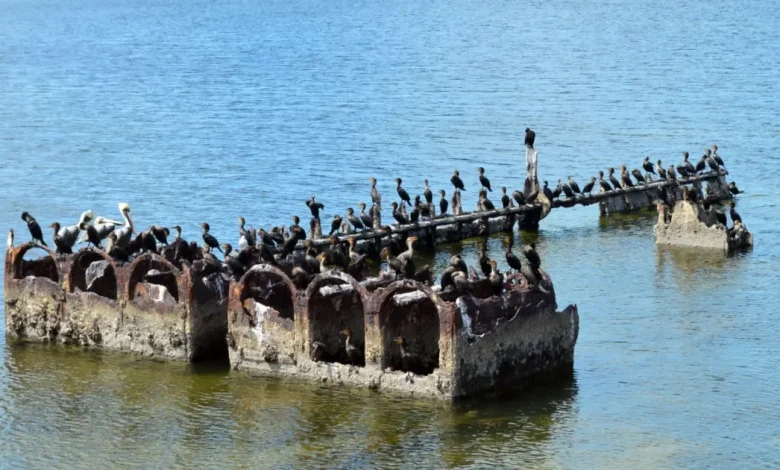 el buque lola un tesoro histórico hundido en el mar de campeche