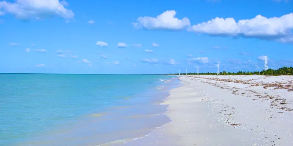 nixche, la playa escondida cerca de sabancuy, campeche