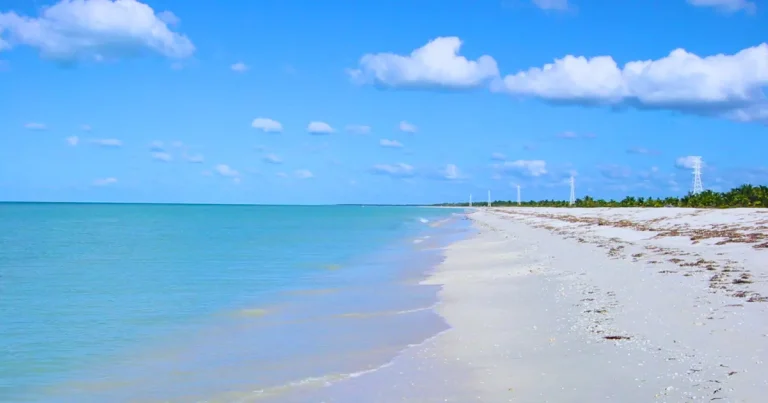 nixche, la playa escondida cerca de sabancuy, campeche