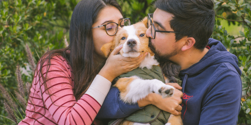 "Adopta, No Compres": Un evento de esperanza para los animales rescatados