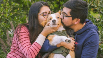 "Adopta, No Compres": Un evento de esperanza para los animales rescatados