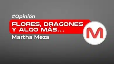 Flores, dragones y algo más…