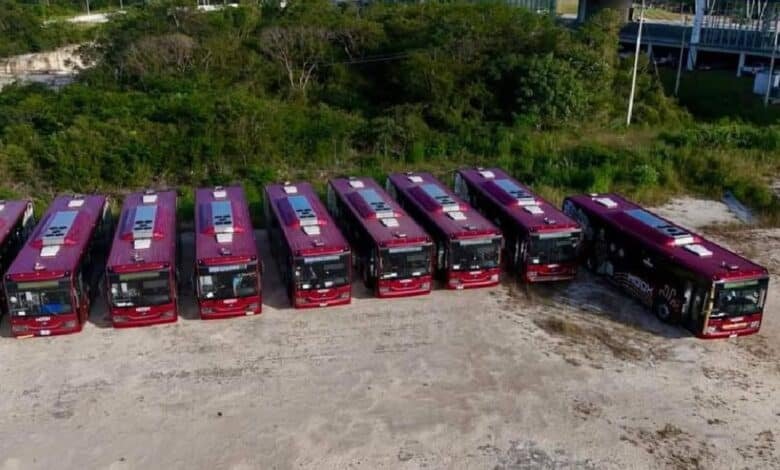 ¡Llegan a Campeche las primeras unidades del transporte público "Ko'ox"!