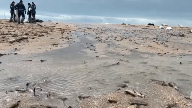 Naufragio de dos petroleros en el Mar Negro contamina 49 kilómetros de costas rusas