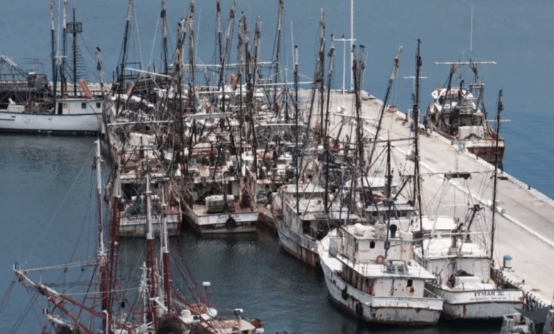 No retirarán barcos hundidos por el huracán Milton hasta el 2025