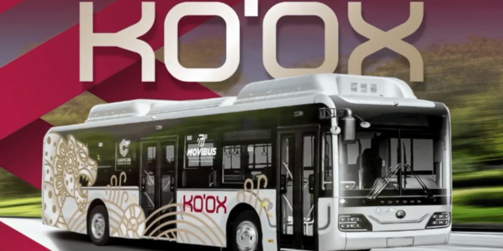 Nuevo transporte "Ko'ox": ¿Qué ofrece y cuánto costará el pasaje?