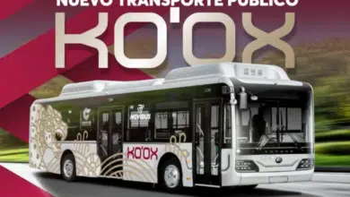 Nuevo transporte "Ko'ox": ¿Qué ofrece y cuánto costará el pasaje?