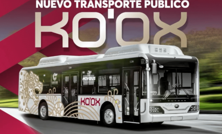 Nuevo transporte "Ko'ox": ¿Qué ofrece y cuánto costará el pasaje?