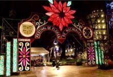 Lánzate al Festival Flores de Nochebuena en Paseo de la Reforma