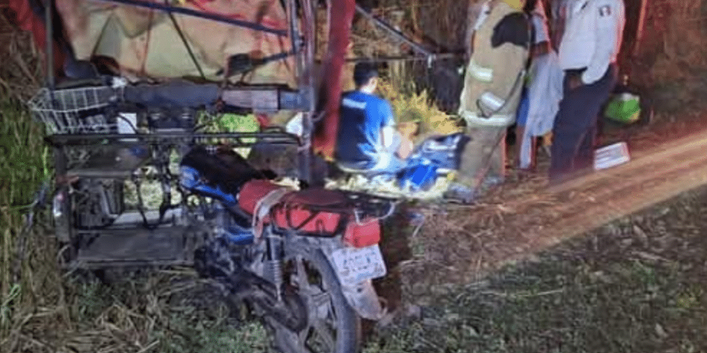 Tragedia en la Mérida-Campeche: Tráiler arrolla a peregrinos; una mujer fallecida