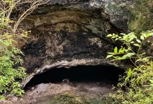 el santuario de murciélagos en calakmul un espectáculo natural en campeche