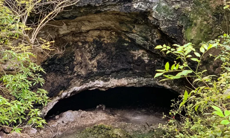 el santuario de murciélagos en calakmul un espectáculo natural en campeche