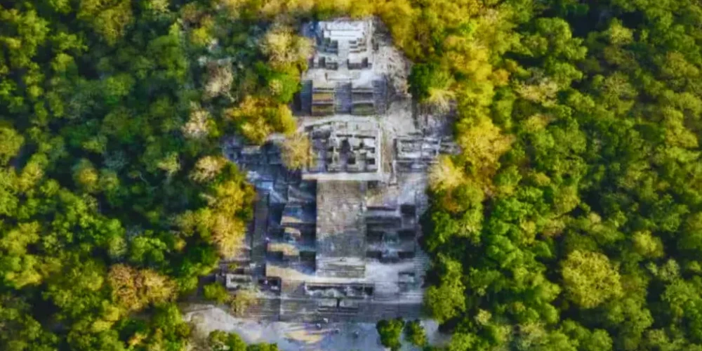 exploraciones arqueológicas en calakmul revelan nuevos datos sobre la cultura maya
