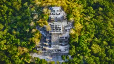 exploraciones arqueológicas en calakmul revelan nuevos datos sobre la cultura maya