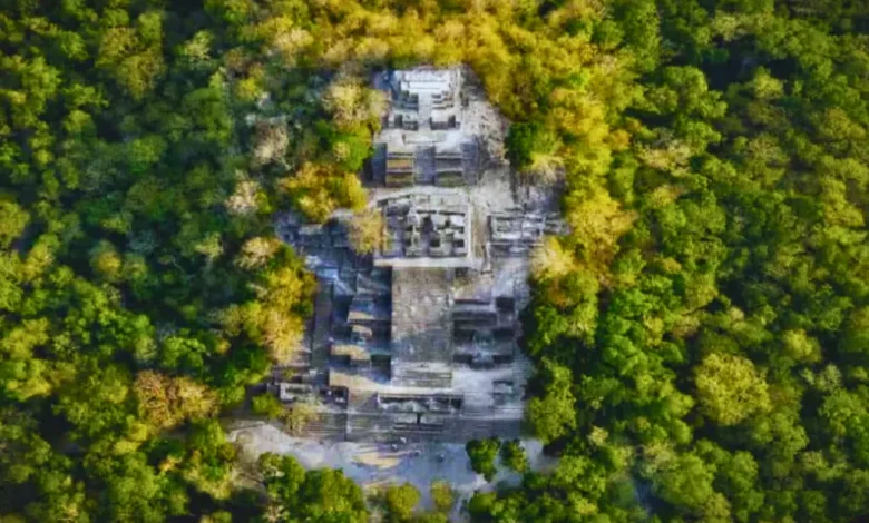 exploraciones arqueológicas en calakmul revelan nuevos datos sobre la cultura maya