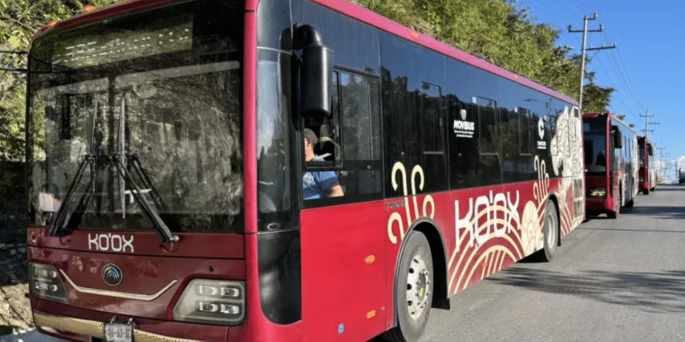 Ko'ox implementará tarifas sociales y mejoras en el transporte público