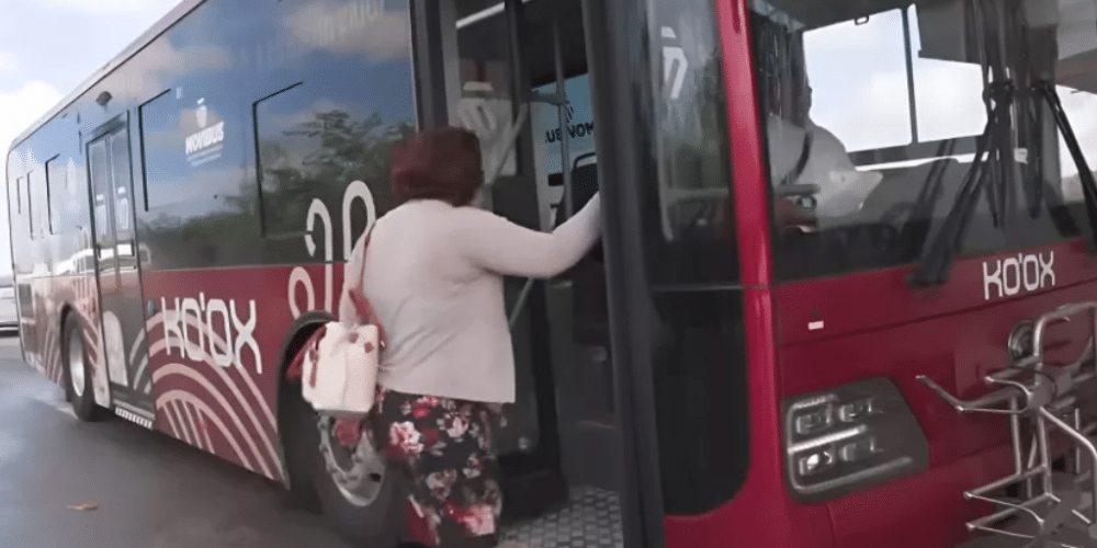 Ko'ox ofrecerá transporte gratuito durante los primeros 15 días