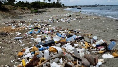 Estas son las playas más contaminadas de México