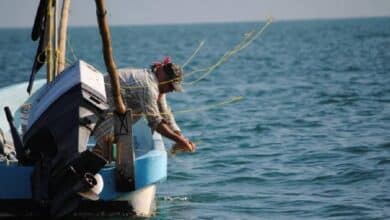 Cae la pesca en Campeche por mal tiempo