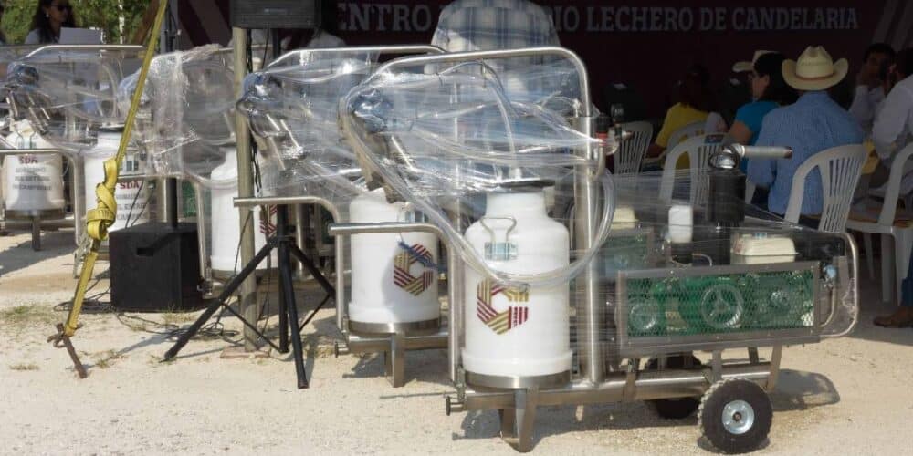 Campeche se prepara para una planta lechera de clase mundial