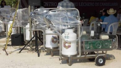 Campeche se prepara para una planta lechera de clase mundial