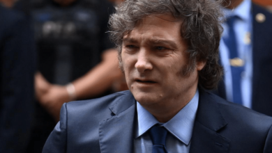 Cristina Kirchner llama a Milei "crypto estafador"