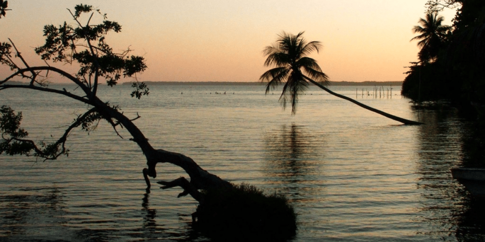 La Laguna de Terminos