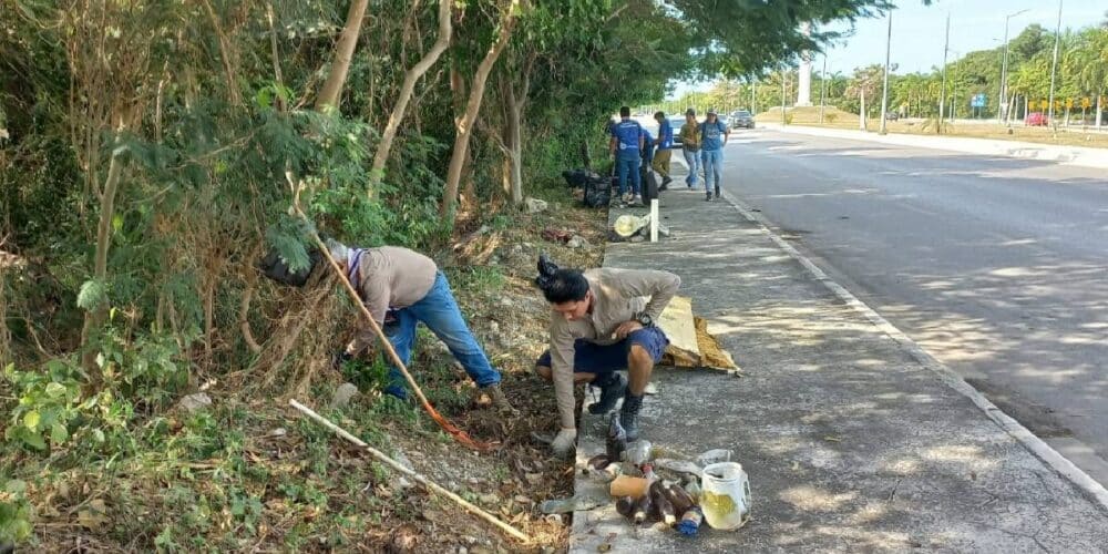 Realizan operativo de limpieza de manglares en Reserva de la Biosfera de Petenes