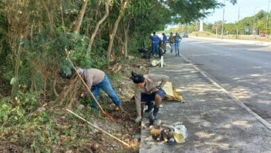 Realizan operativo de limpieza de manglares en Reserva de la Biosfera de Petenes