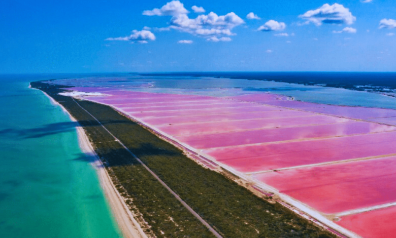 “Enamora” salinera de Las Coloradas