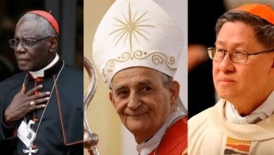 Imagen editada de personalidades católicas