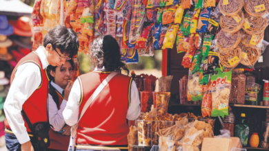 Presenta ONG plataforma para monitorear alimentos en escuelas