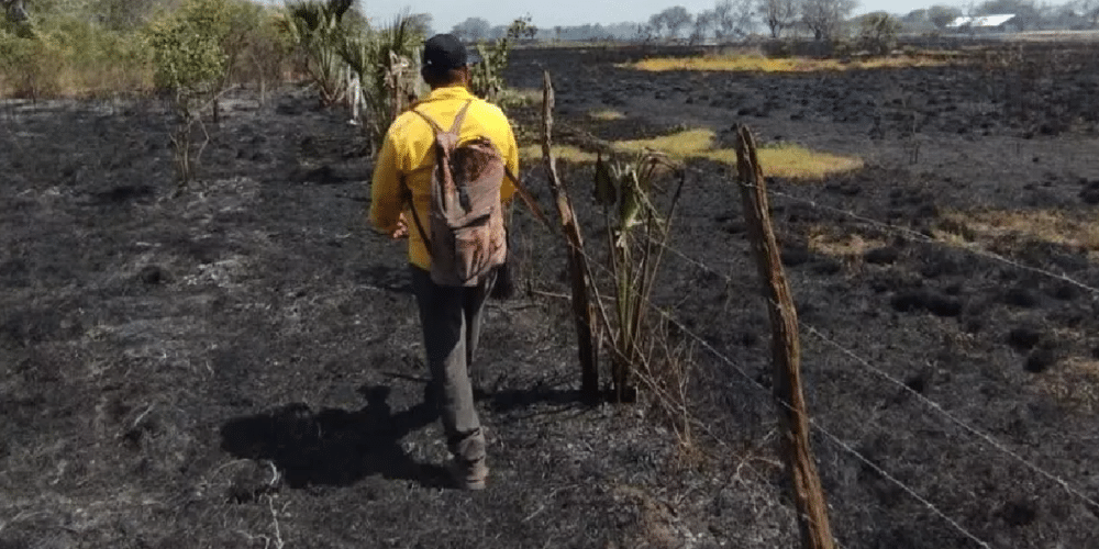 Campeche enfrenta su etapa más crítica de incendios forestales en 2025