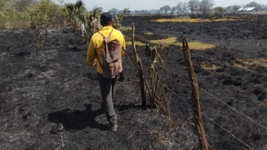 Campeche enfrenta su etapa más crítica de incendios forestales en 2025