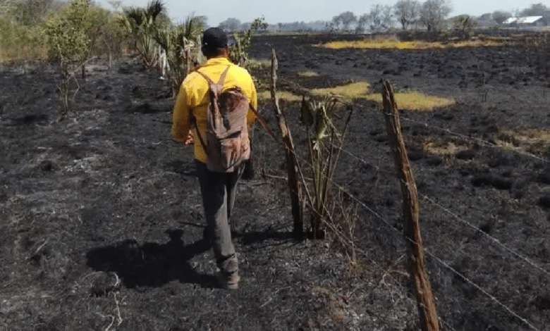 Campeche enfrenta su etapa más crítica de incendios forestales en 2025
