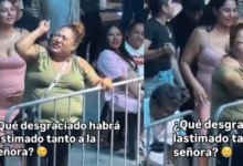 Cuando la música se vuelve llanto mujer se hace viral por cantar con el alma en un concierto (Foto por El Imparcial)