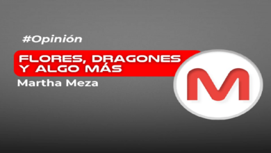 Flores, dragones y algo más…