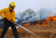 Guardia Estatal combate incendio en El Cielo, Tamaulipas