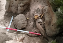 Guatemala revela ciudad maya de 2,800 años con pirámides y figuras ancestrales (Foto por AFP)