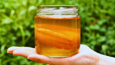 Kombucha un fermento milenario que conquista paladares