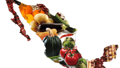 México avanza hacia la autosuficiencia alimentaria Soberanía y políticas públicas para garantizar el futuro (Foto por Líderes Mexicanos)