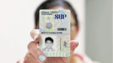 SEP simplifica trámite de cédula profesional en línea