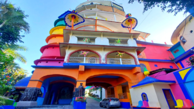 Un castillo surrealista en San Luis Potosí que guarda los secretos de la herbolaria mexicana
